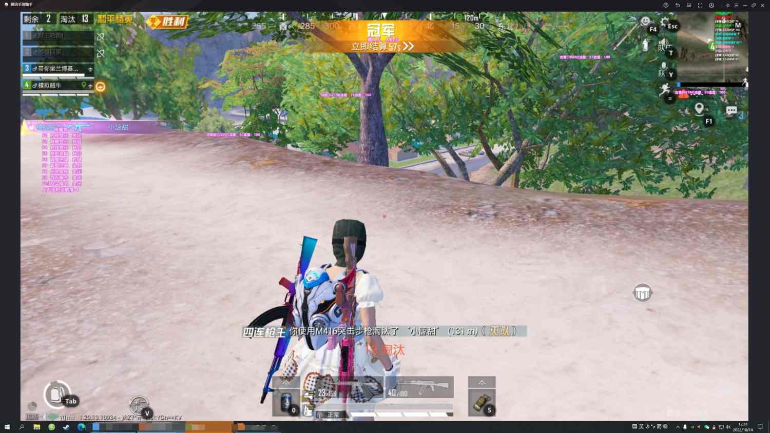 和平精英《北极熊》辅助